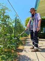 Josh Longoria waters his plants in front of his store, Ohana Gardening and Hydroponics, in McMinnville on Aug. 11, 2022. He's hoping to start psilocybin therapy to treat his debilitating migraines.
