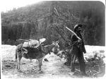 A prospector on the trail with a burro in Grants Pass, Ore., 1903.