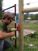 Russ Talmo, with Defenders of Wildlife, building an electric fence. Electric fences keep bears away from people's property.