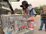 Shane Cooper tends a caged rabbit in the parking lot at Goodson Middle School in South Salem after she and her family took their animals and vacated their farm due to a nearby grass fire.