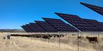Computer image of solar panels elevated on steel posts above a field of cattle.
