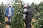 Christopher Davis and Bailey Tarabochia select a Christmas tree at the Yesteryear Tree Farm near Wilsonville.