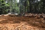 A logging operation in a tropical rainforest of west Central Africa.