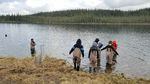 Students releasing salmon into the lake on the Salmon Field Trip.