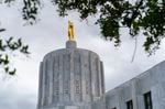 Oregon's primaries this year are set against a stark backdrop, where polls show rising homelessness, gun violence and other issues have voters feeling extremely pessimistic about where the state is headed. Candidates running for governor have been aiming much of their rhetoric toward leveraging the voters' dour mood.