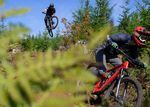 The Fear and Loaming mountain biking trail descends 2,500 feet on Larch Mountain in the Tillamook State Forest.