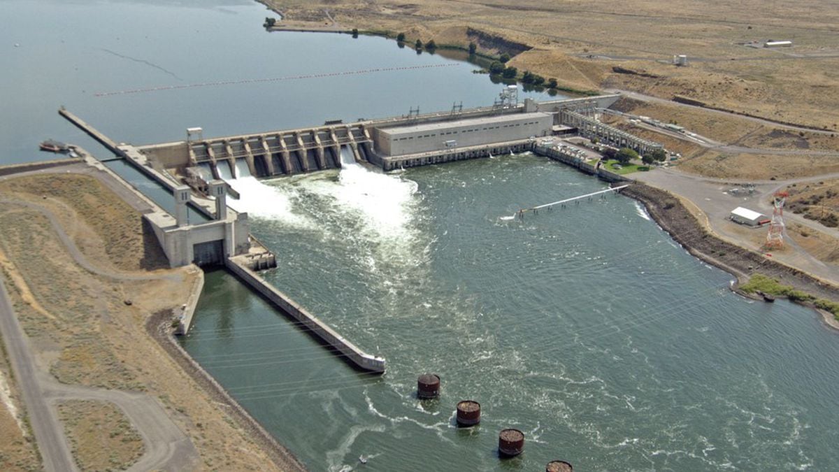 Federal report recommends removing four Lower Snake River dams to protect salmon