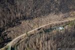 A band of burned trees removed along Highway 224 upslope from a protected Wild and Scenic stretch of the Clackamas River.