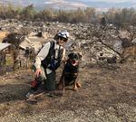 Sharon Ward sits with her dog Vali. has been training Human Remains Detection dogs since the 90s, she's used her dogs to find remains at wildfires, mudslides and missing persons cases.