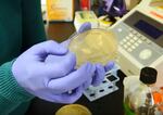 Testing capacity for novel coronavirus in Washington increased significantly on Tuesday once a University of Washington virology lab began accepting samples.
