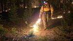 A person in firefighting gear uses a flame thrower to char ground and establish limits a wildfire won't spread beyond.