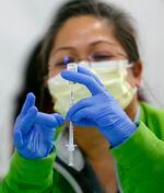 A person dressed in a face mask and medical gloves prepares a vaccine in a syrine.