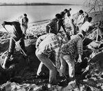 A group of people are seen digging with shovels along the shore of a river.