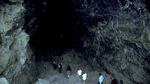 a line of people walks along a path leading into a dark cave