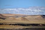 The Shepherds Flat Wind Farm in Oregon.