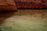 Water sparkles near the Cathedral in the Desert in Glen Canyon.