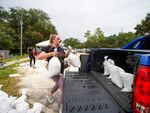 Victoria Colson, 31, of Tampa loads sandbags into her truck along with other Tampa residents who waited for over 2 hours at Himes Avenue Complex to fill their 10 free sandbags on Sunday, Sept. 25, 2022, in Tampa, Fla. (Luis Santana/Tampa Bay Times via AP)