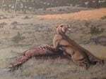 An artist’s depiction of the Machairodus lahayishupup eating Hemiauchenia, a camel relative. The image is part of a mural of the Rattlesnake Formation of Central Oregon, where fossils of the newly identified feline species have been found. The mural is exhibited at John Day Fossil Beds National Monument, part of the National Park Service.