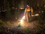 A person in firefighting gear uses a flame thrower to char ground and establish limits a wildfire won't spread beyond.