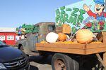 The only way to visit the Bi-Zi Farms pumpkin patch is to go online and book a ticket. Owners expect half the visitors they saw last year.