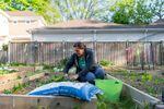 Jenna Fournel harvests April 30, 2022 in her home garden in Alexandria, Virginia.