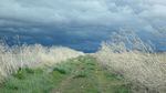 Weather moves fast over one of the wilder sections of Lower Klamath Wildlife Refuge.