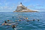 Sea lions roam the waters around Tillamook Rock Lighthouse.