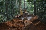 A bulldozer opening a secondary logging road in a tropical rainforest in Gabon.