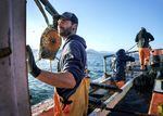 Commercial fisherman and boat captain Aaron Ashdown, left, leads a crabbing trip aboard the FV Misty off of Port Orford, Ore., May 17, 2022. 