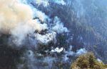 A helicopter flies over plumes of smoke in a heavily forested area.