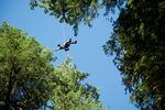 Climb rigger Benjamin Trapanese flies through the trees.