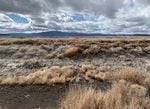 Lower Klamath National Wildlife Refuge in October, after a year of exceptional drought.