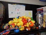 O'Neill has a big tray of rubber ducks in his office for his younger patients.  She gives them toys when they get their injections.
