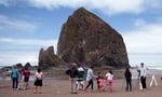 File photo from Feb. 2021. Wildlife at Haystack Rock are protected, however this isn't stopping some locals from poaching mussels. Officials at the marine garden share concerns as Mussels play a vital role in the ecosystem. 