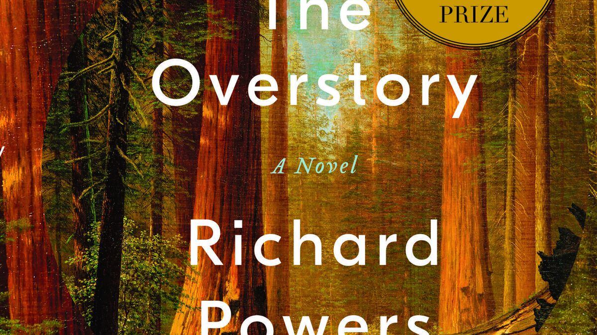 the overstory reviews