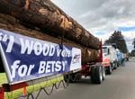 Logging trucks line up in support of gubernatorial candidate Betsy Johnson during a June 14, 2022 "pep rally." Johnson is running as an unaffiliated candidate in the November election.