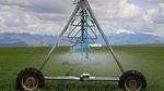 An irrigation pivot in Harney County on May 27, 2019. Spraying water at a lower height, so that less evaporates, is one conservation measure some farmers implemented in response to depleting groundwater levels. 