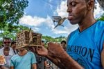Trick or tragedy?. Cuba and the U.S. Owners and birds have strong relationships, but there can be a dark side to the trade, with some birds being taken from the wild and stored and trafficked in inhospitable conditions.