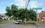 A tree grows beneath a power line in the Park DuValle neighborhood of Louisville, Ky. Urban environments can be especially harsh on trees.