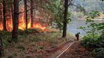 Fire burns next to control line by the Rogue River. A system of hoses and pumps provides water along the hand line. Additionally, notice how vegetation adjacent to the line has been thinned so that fire will stay on the ground.