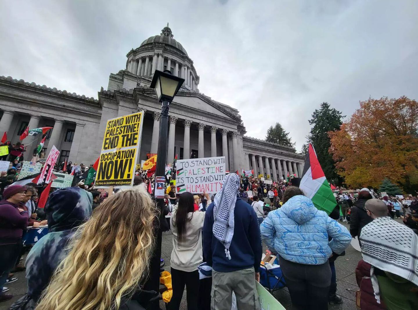 10,000 march on MN Capitol for Gaza — Fight Back! News