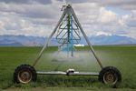 An irrigation pivot in Harney County on May 27, 2019. Spraying water at a lower height, so that less evaporates, is one conservation measure some farmers implemented in response to depleting groundwater levels. 