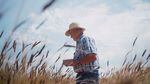 Farmer Tom Hunton inspects his field of einkorn wheat—an heirloom grain that harks back to the Fertile Crescent.