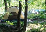 A tent along the Springwater Corridor Trail.