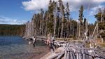 Miller Lake is set in the southern Cascades northeast of Crater Lake and has long been popular with anglers.