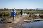 Luke Fitzpatrick and his mom, Kathy Bridges, walk the berms between fish ponds at Santiam Valley Ranch in Turner, Ore., Thursday, April 15, 2021.