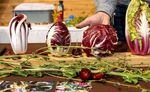 Four types of radicchio on display at the Sagra del Radicchio in Portland, Ore., on Oct. 28, 2022. The showcase and celebration of the winter vegetable was inspired by the thousands of sagre held each year across Italy.
