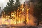 A new report from the Pew Charitable Trusts finds many states are failing to adequately budget for wildfire costs before, during and after fires.