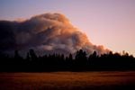 a large orange and gray plume of smoke rises from a dark forest against a purple sky