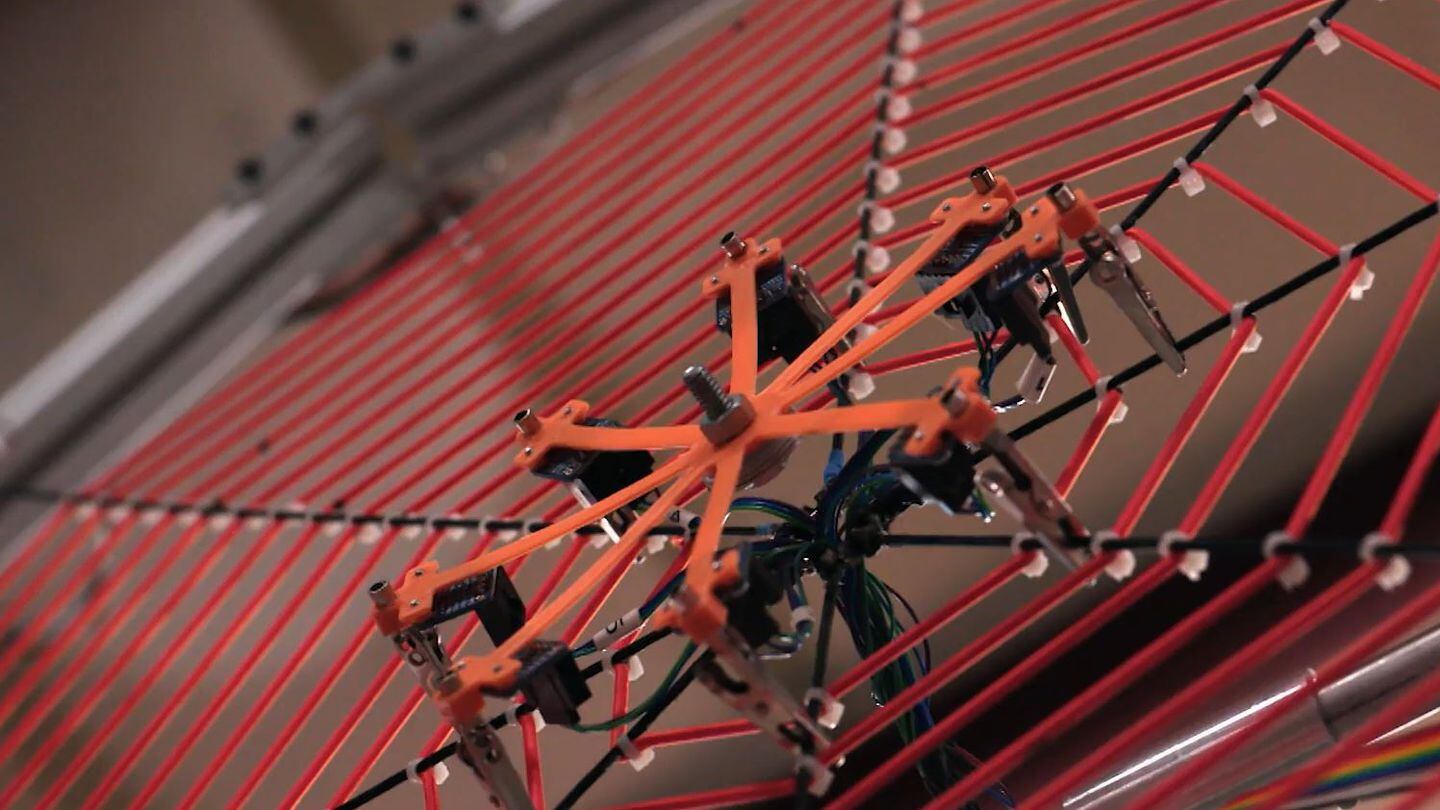 SpiderHarp: Oregon scientists study spiders with a web-inspired musical  instrument - OPB